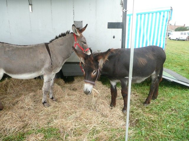 Ferolles (14).jpg